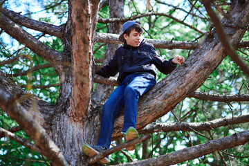 Naklejka na ściany i meble Teenage boy playing outdoor, climbing a tree, bright sunlight, beautiful day