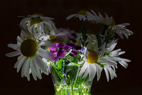 Front view of fresh bouquet with daisies, lavender, rose, carnation in the glass vase, filled with water and illuminated from the bottom on the black background 
