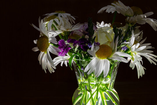 Side view of fresh bouquet with daisies, lavender, rose, carnation in the glass vase, filled with water and illuminated from the bottom on the black background 