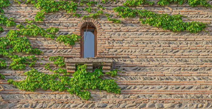 Front view of old brick and stone wall with narrow window covered with ivy. Tbilisi, Georgia 