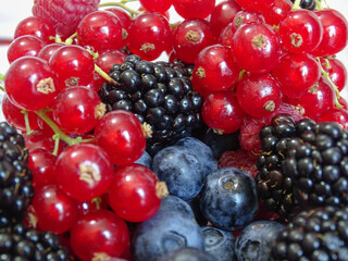 Fruits rouges, myrtilles, framboises, mures, cranberry