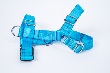 Blue tissue dog harness with silver metal fittings isolated on white background. For dog training,...