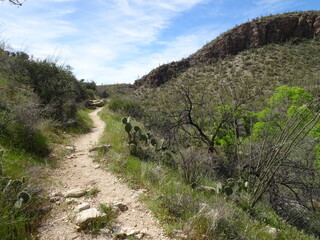 path in the mountains