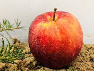 FARM FRESH RED APPLE ON SAND 