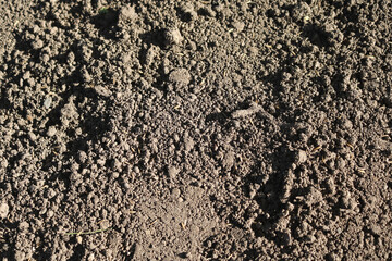 Dirt and Soil Clumps