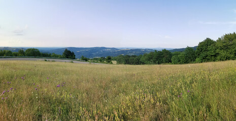Obraz premium Natural Countryside
