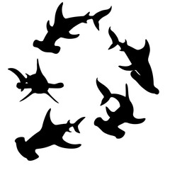 Black silhouette hammerhead sharks swim in a circle underwater giant animal simple cartoon character design flat vector illustration on white background - obrazy, fototapety, plakaty