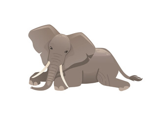 Cute adult elephant lying on the ground and look at you cartoon animal design flat vector illustration isolated on white background