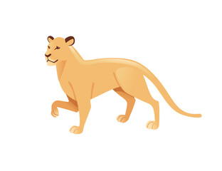 Fototapeta premium Adult lioness african wild predatory cat female lion cartoon cute animal design flat vector illustration isolated on white background