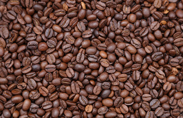 Roasted coffee beans