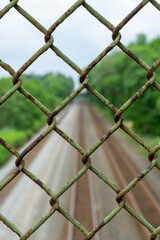 Fence in focus above railroad tracks that are empty surrounded by trees