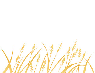 Yellow african savanna grass flat vector illustration on white background