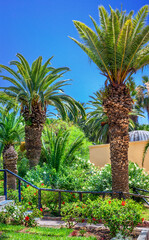Hotel garden