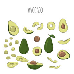 Vector set of hand drawn avocado. Food hand drawn vector illustration. Design for packaging, weddings, fabrics, textiles, wallpaper, website, postcards.