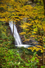 Courhouse falls surrounded by yellow fall folliage in North Carolina