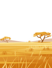 Landscape savanna on white background with yellow grass and tree flat vector illustration cartoon style vertical design © Alfmaler
