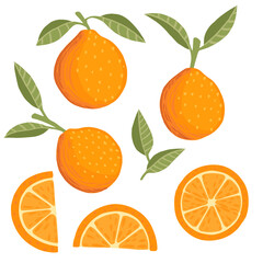 Set of orange citrus yellow fruit whole halved and sliced with green leaves flat vector illustration on white background