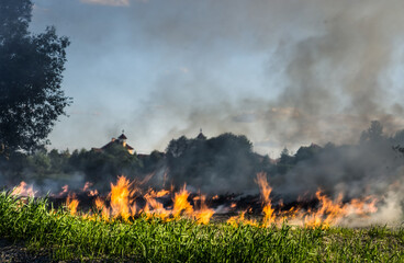 Spring fires. The grass burns in the meadow. Ecological catastrophy. Fire and smoke destroy life.