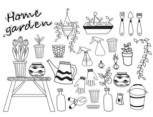 House garden. Set of indoor plants, flowerpots tools. Human Hobby at home at home and in self-isolation. Botanical set - bulbs, pruner, bucket, furniture. Vector line drawings. Hobby at home