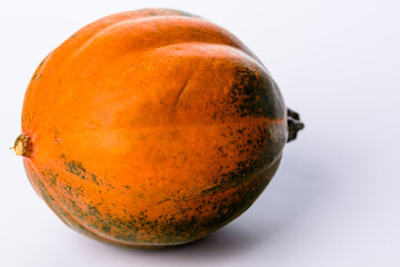 Fototapeta premium Green and orange acorn pumpkin on a white background.