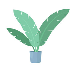 A big decorative houseplant growing in pot. Colorful flat isolated illustration. Home and office interior design