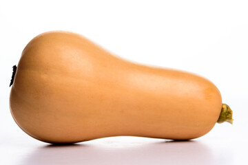 Butternut squash as well known as nutmeg squash or nut squash on a white background