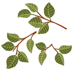 Set of green leaves on tree branches flat vector illustration isolated on white background