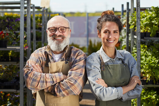 Waist Up Portrait Of Smiling Bearded Farmer With Young Female Worker Looking At Camera And Smiling Happily While Standing In Greenhouse At Plantation Lit By Sunlight