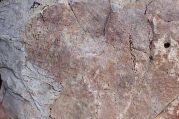 old wood texture