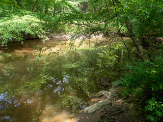 Quarantine Hike Through Maryland Park along Northwest Branch Anacostia River
