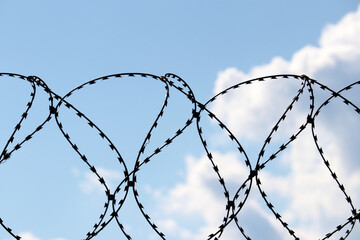 Barbed wire on background of blue sky with white clouds. Concept of boundary, prison, war or immigration