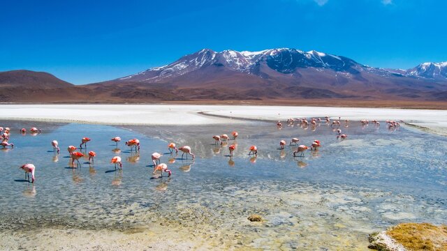 Imágenes de Chocante descubre bancos de fotos, ilustraciones, vectores