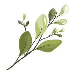 Art watercolor natural branches leaves elements. Vector illustration