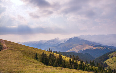 A beautiful mountain landscape with road, fir trees, mountain peaks and a fabulous sky.