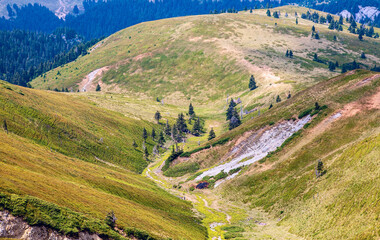 A beautiful landscape of the red mountain with a flock of sheep, firs and a quarry.