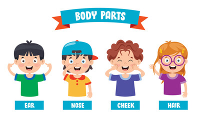 Funny Child Showing Human Body Parts