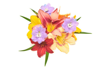 Collection of flowers delphinium and hemerocallis isolated on a white background. Stylish floral arrangement. Flat lay, top view