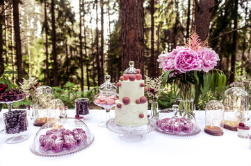 Dessert table for a party. Ombre cake, cupcakes, sweetness and flowers. Vintage color filter
