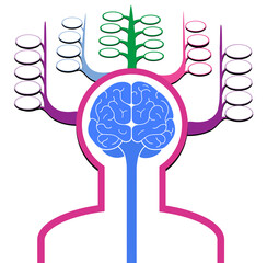 Sign silhouette of a man with a brain front view. Memory cells. Isolated on a white background.