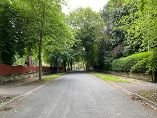Fototapeta na wymiar Ashburnham Grove, a Victorian road with old trees and fencing in, Manningham, Bradford, Yorkshsire, UK