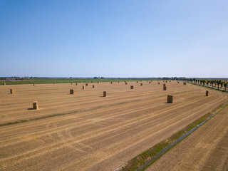 Récolte de foin dans les champs, par drone