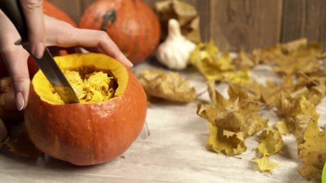 Girl cleans out the inside of a pumpkin with knife on wooden background. Theme of traditional Hobbies in autumn and cutting out lanterns from vegetables. Mystical traditions in Halloween decorations.