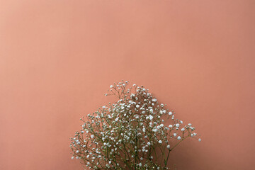 White gypsophila flowers on a brownish red background, top view, flat lay