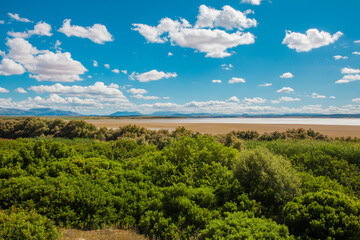 Lagoon view. Dry lagoon “Fuente De Piedra”. 