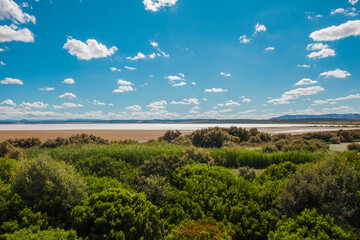 Fototapeta na wymiar Lagoon view. Dry lagoon “Fuente De Piedra”. 