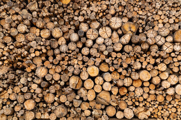 troncos de madeira formas redondas