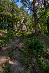 Fototapeta premium Fantastic hike near Sipplingen on Lake Constance