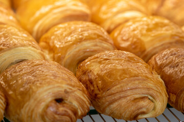 Artisanal pain au chocolat warm and fresh out of the oven at a local French bakery.
