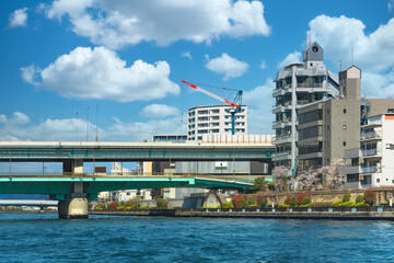 Fototapeta premium Sumidagawa Ohashi Bridge double-layered with the upper viaduct of the Shuto Expressway Fukagawa Route which spans the Sumida River lined with cherry blossoms trees.