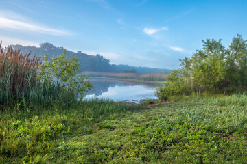 Morning Meadow